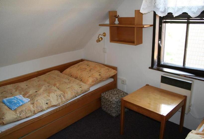 バス共有のスタンダードルーム, Penzion Přeštěnice