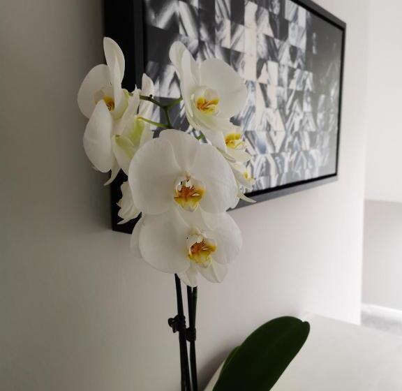 خانه 3 خوابه, The Prophecy Of Light Retreat