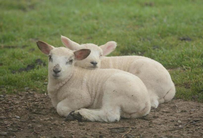 خانه 3 خوابه, The Prophecy Of Light Retreat