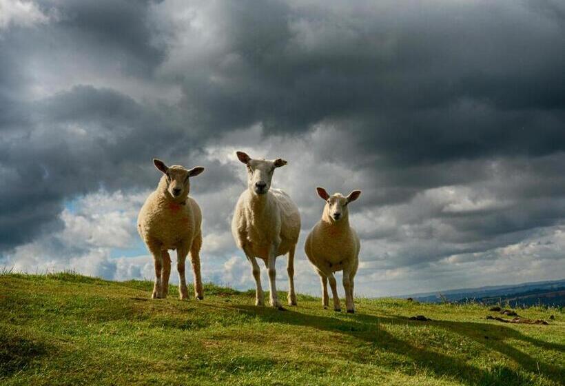 خانه 3 خوابه, The Prophecy Of Light Retreat