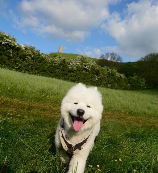 خانه 3 خوابه, The Prophecy Of Light Retreat