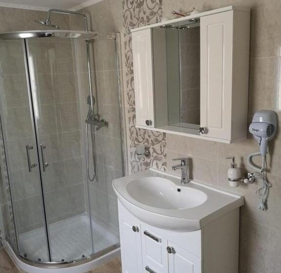 Номер Стандарт, Pensiunea Daniela