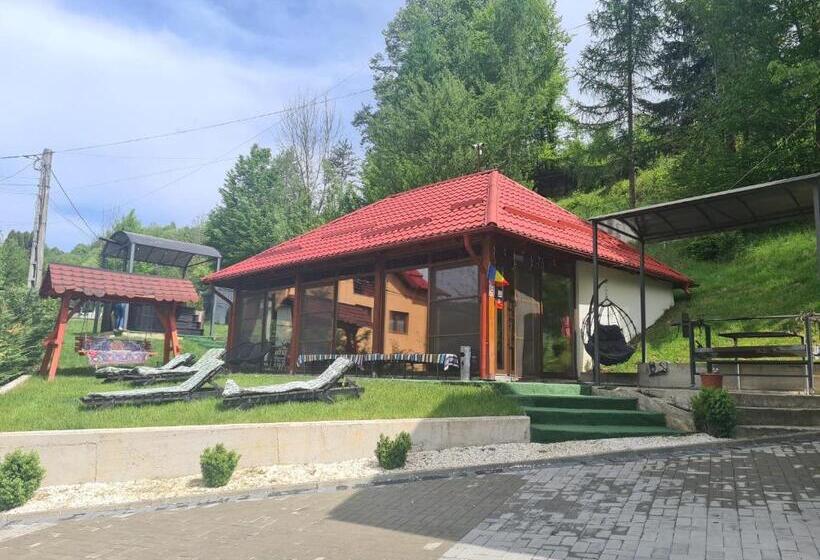 Номер Стандарт, Pensiunea Daniela