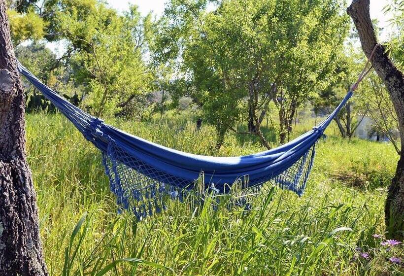 اتاق استاندارد, Monte Rosa Rural Guesthouse