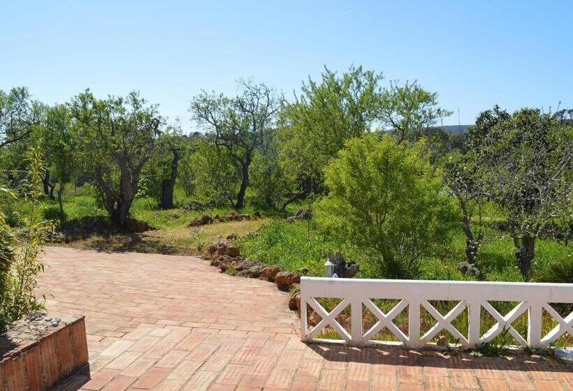 آپارتمان 1 خوابه با تراس, Monte Rosa Rural Guesthouse