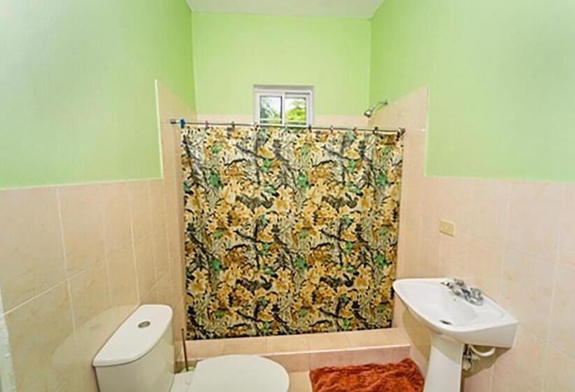 اتاق استاندارد, Sgr Near The Sea