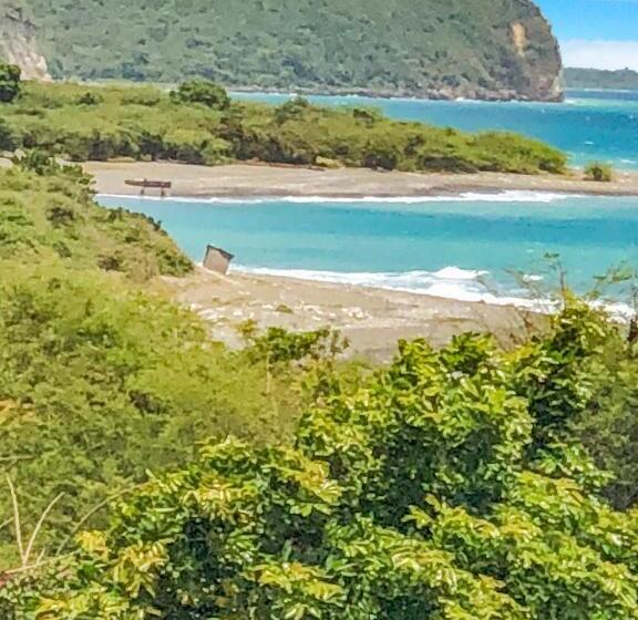 اتاق لوکس, Sgr Near The Sea