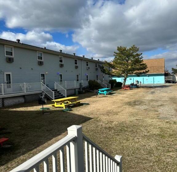 דירת שני חדרים, Crush Villa