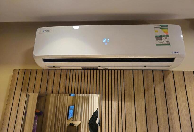 ファミリーステューディオ, Seagull