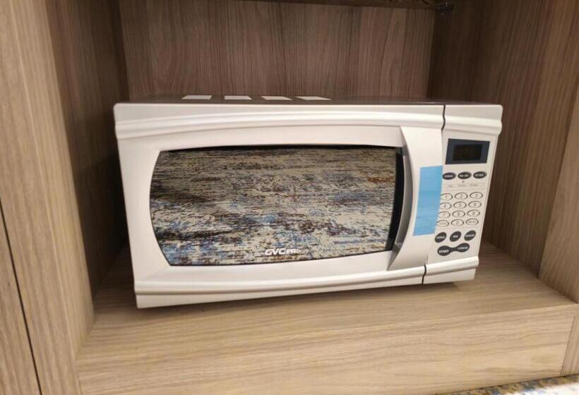 ファミリーステューディオ, Seagull