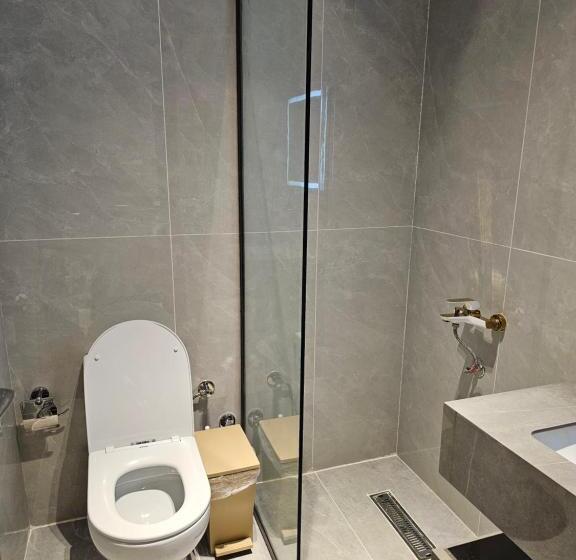 エコノミールーム, Seagull