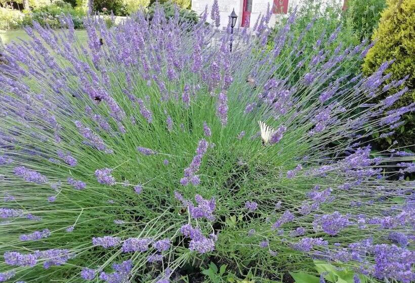 标准间, Domaine Des Tonneaux