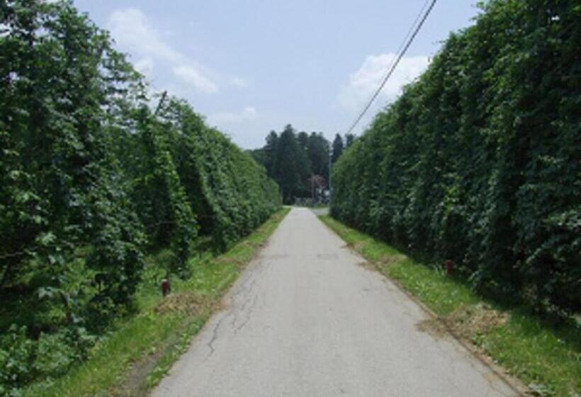 标准工作室, Aeria Tohno   Vacation Stay 62232v