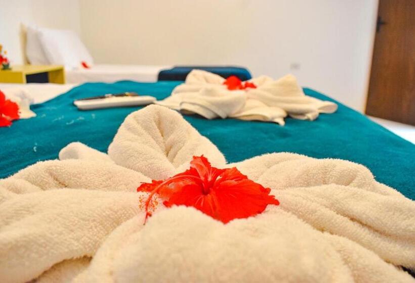 اتاق استاندارد, Caminho Do Paraíso