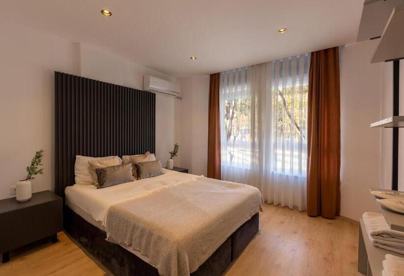 带1个卧室的高级公寓, Magesa Homes