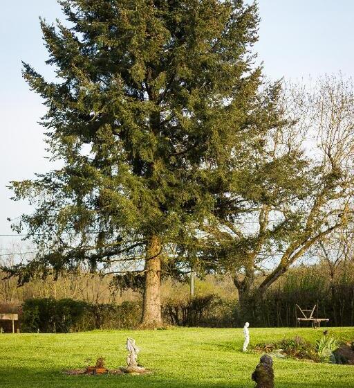 חדר סטנדרט, Aux Ronzières
