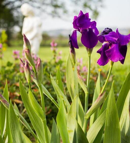 חדר סטנדרט, Aux Ronzières