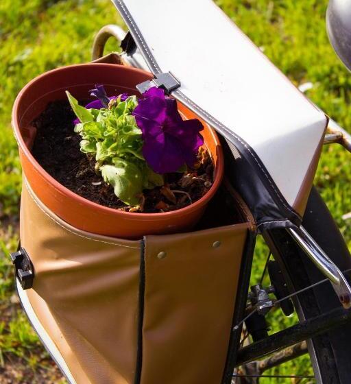 חדר סטנדרט, Aux Ronzières