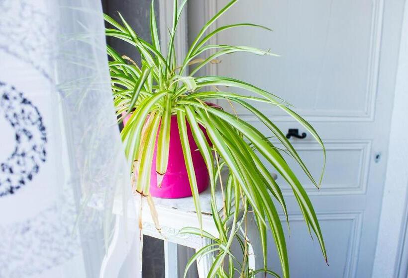 חדר סטנדרט, Aux Ronzières