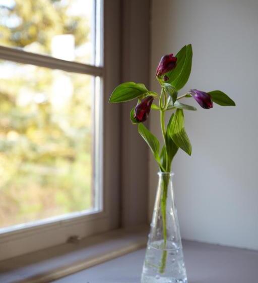 Апартаменты 3 Спальни, Gutshaus Lexow