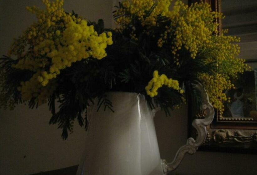 Люкс, Les Vieux Murs