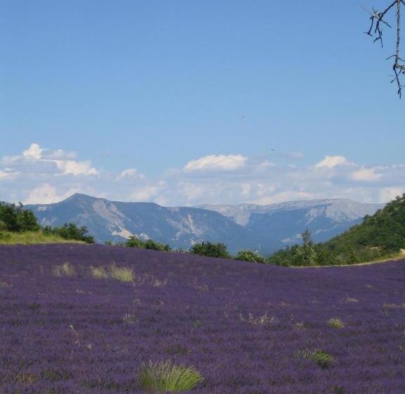 Люкс, Les Vieux Murs