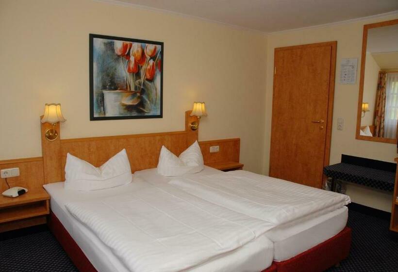 Номер Стандарт, Alte Schule