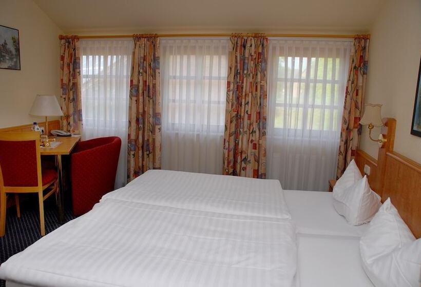 Номер Стандарт, Alte Schule