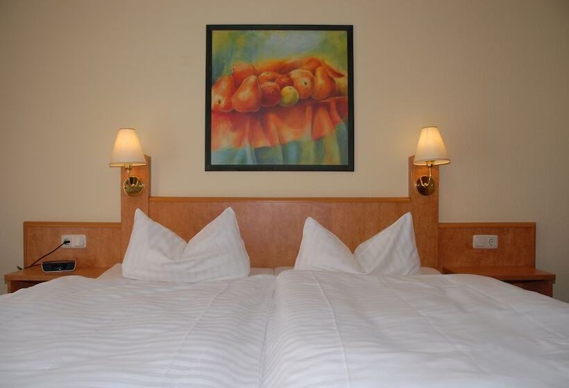 Номер Стандарт, Alte Schule