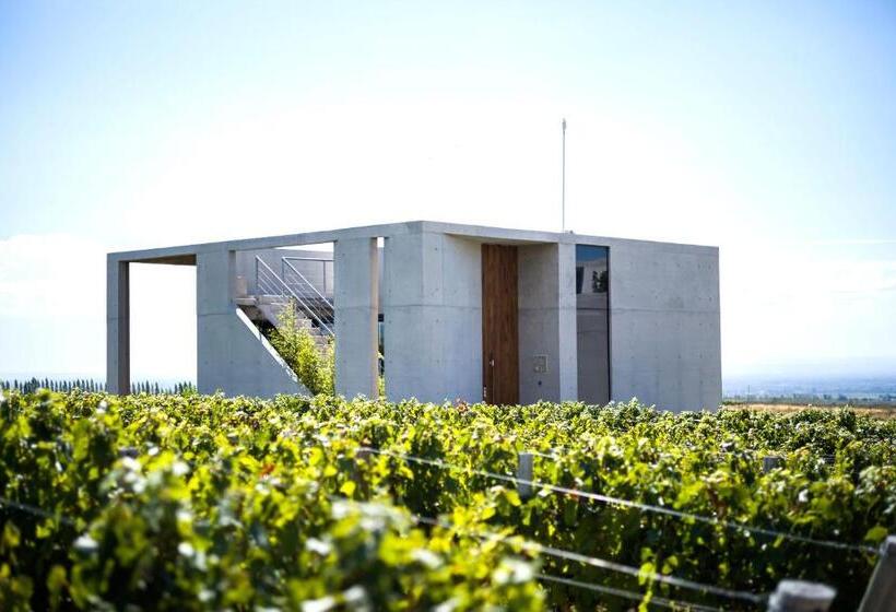 带1个卧室的别墅, Casa De Uco Vineyards And Wine Resort