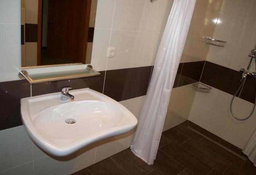 חדר סטנדרט מותאם לאדם עם מוגבלויות, Gasthof & Pension Zum Himmel