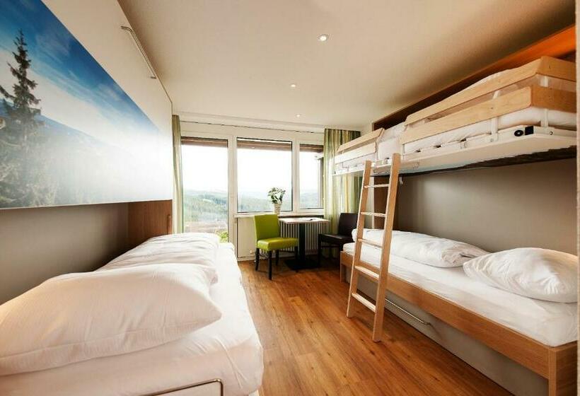 Номер Стандарт Трехместный, Haus Feldbergfalkau