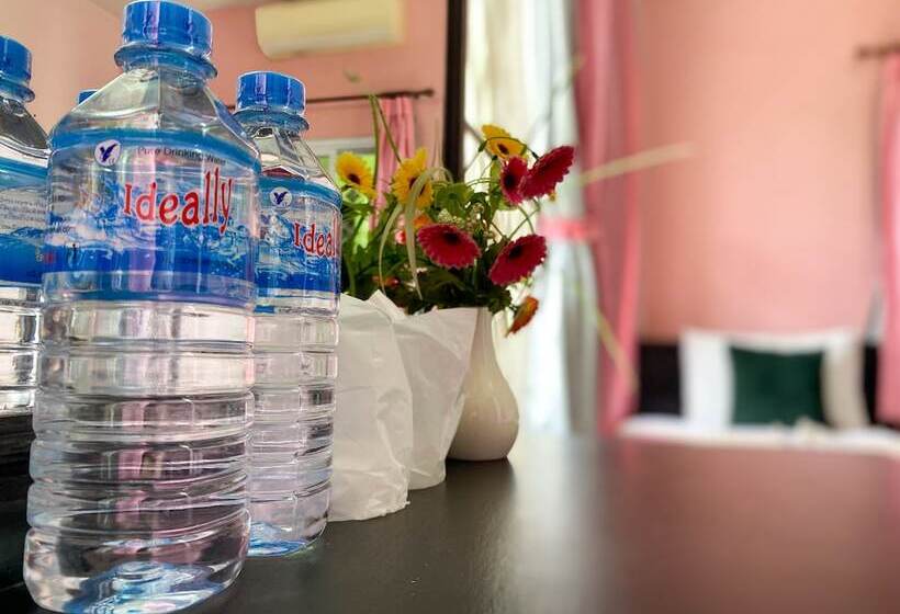 Номер Стандарт, Mixay Paradise