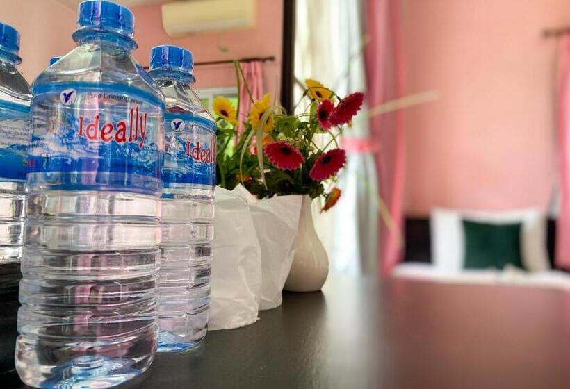 Номер Стандарт, Mixay Paradise