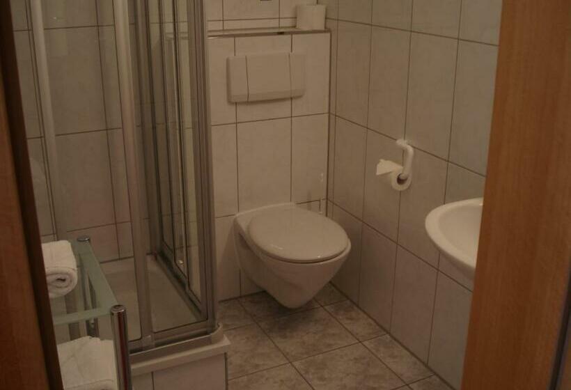 غرفة قياسية, Panorama Hotel Am Frankenstein