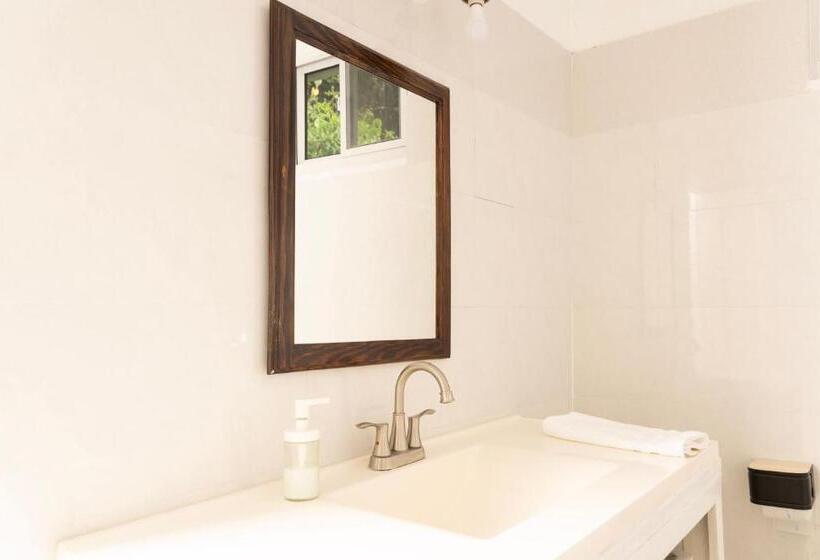 استودیوی استاندارد, La Maison 29