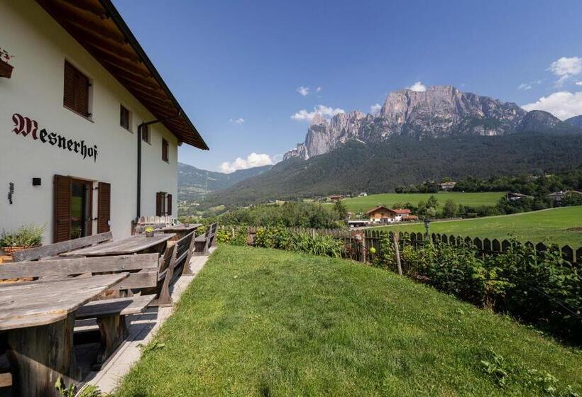 Номер Стандарт, Mesnerhof My Paradise