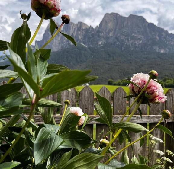 Номер Стандарт, Mesnerhof My Paradise