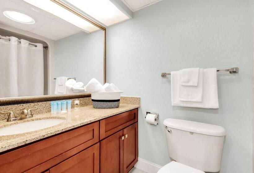 Apartamento 1 Dormitório com Sacada, Ocean Breeze