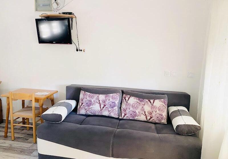 اتاق خانوادگی, Apartmani I Sobe Radojičić