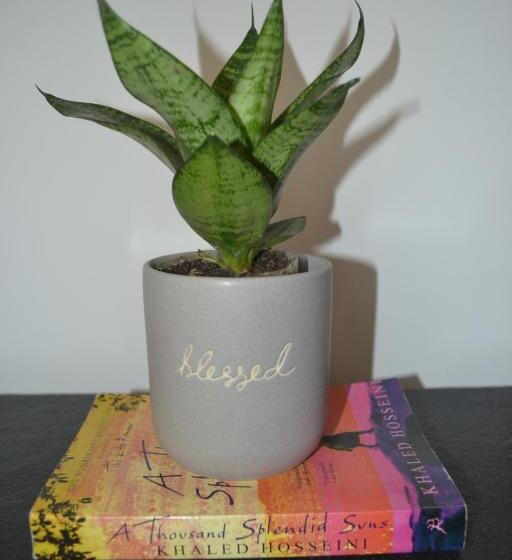 Superior-huone King-vuode, Meeram Ganga, A Heritage Stay By The Ganges At Triveni Ghat