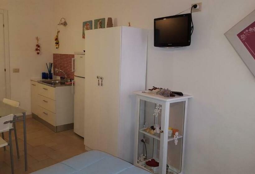 اتاق استاندارد, Casa Nave