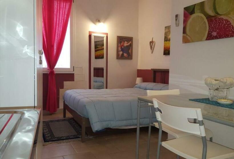 اتاق استاندارد, Casa Nave