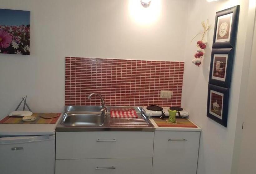 اتاق استاندارد, Casa Nave