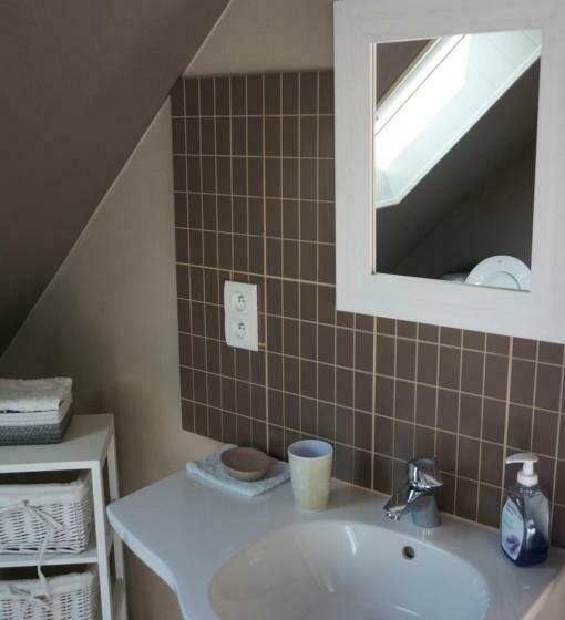 Номер Стандарт, Le Petit Chaton