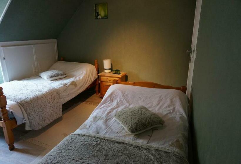 Номер Стандарт, Le Petit Chaton