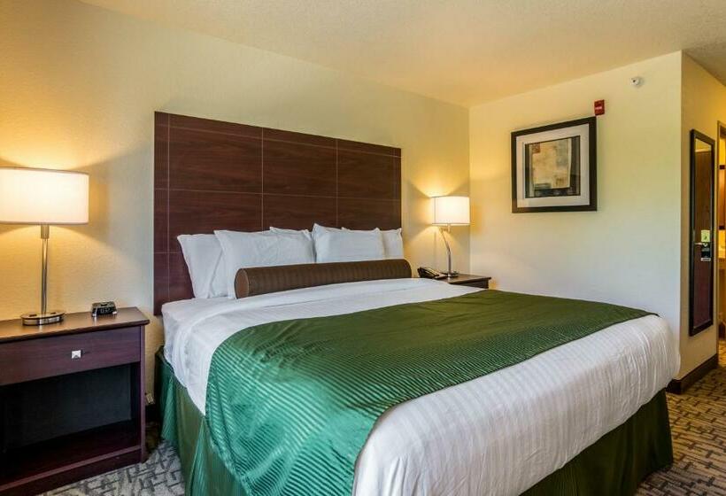 غرفة قياسية سرير كينج, Cobblestone Hotel & Suites   Erie