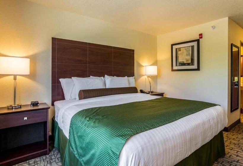 Номер Стандарт Кровать Кинг Адаптированный для Инвалидов, Cobblestone Hotel & Suites   Erie