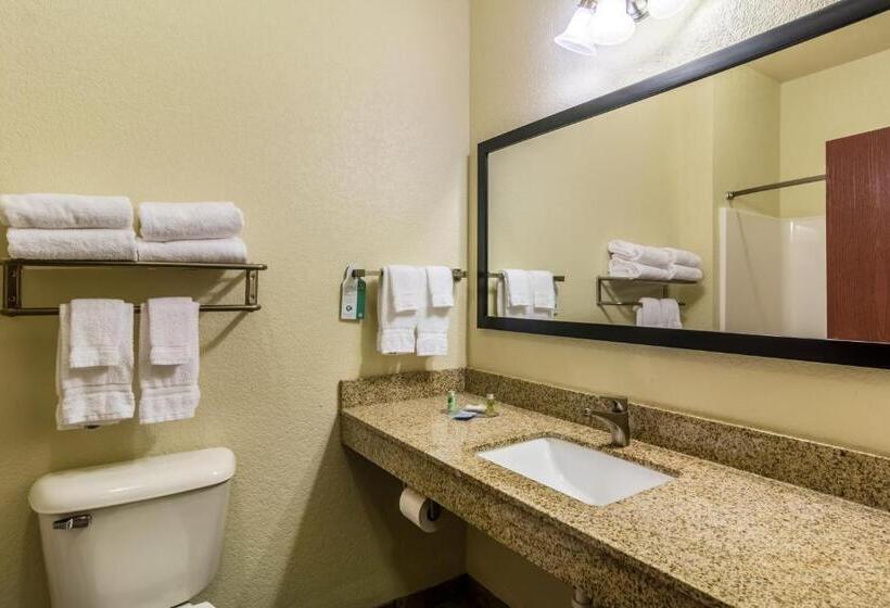 Люкс Кровать Кинг, Cobblestone Hotel & Suites   Erie