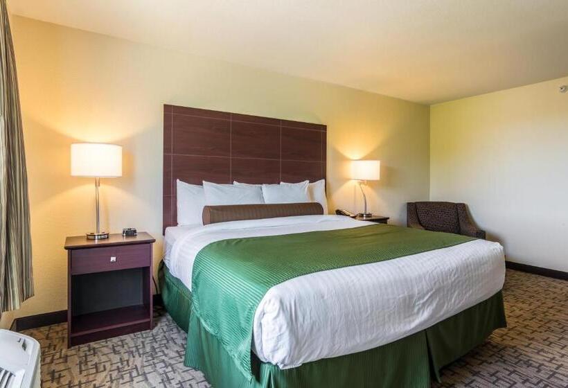 Люкс, Cobblestone Hotel & Suites   Erie